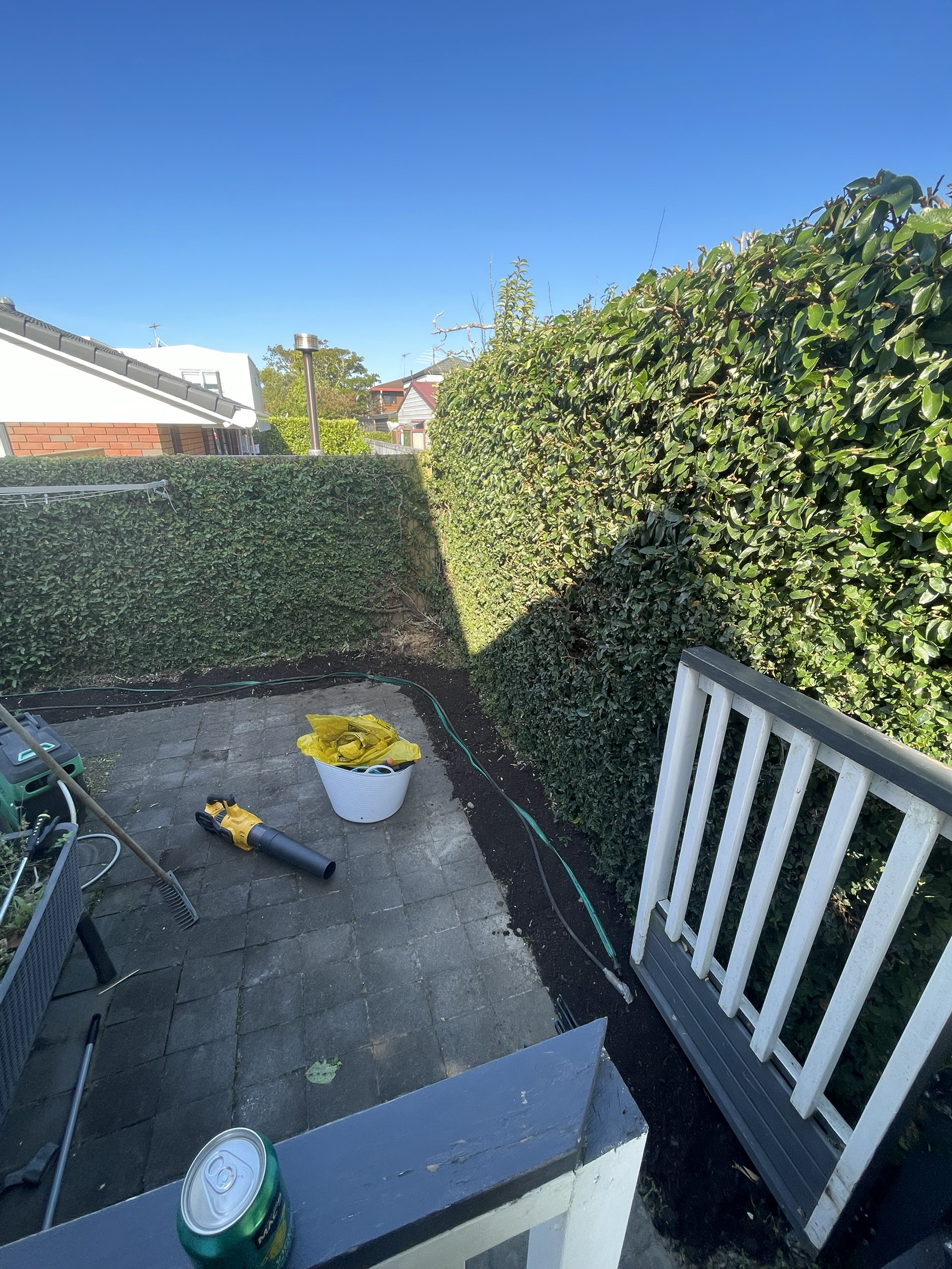 Hedge & Boundary Artistry