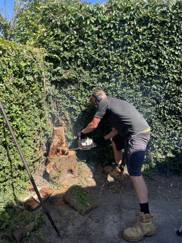 Caleb Willman-Childs cutting through a tree stump with a chainsaw