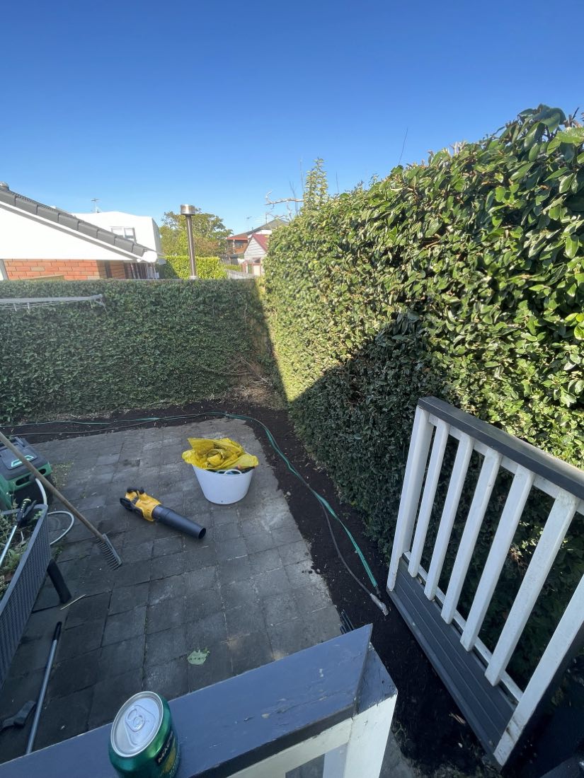 A boundary hedge trimmed square with the clippings cleared off the patio below